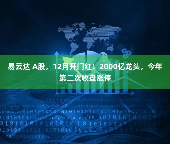 易云达 A股，12月开门红！2000亿龙头，今年第二次收盘涨停