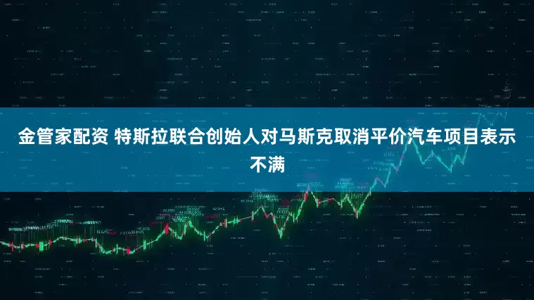 金管家配资 特斯拉联合创始人对马斯克取消平价汽车项目表示不满